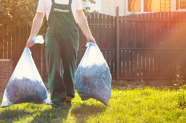 Best Junk Removal Near Me  in Hoyt Lakes, MN