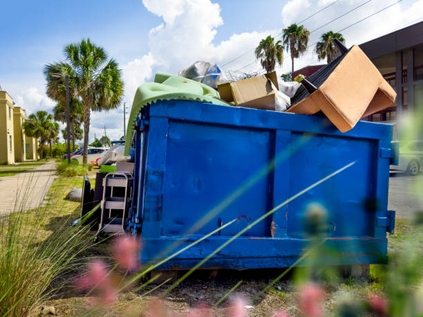 Best Construction Debris Removal  in Hoyt Lakes, MN